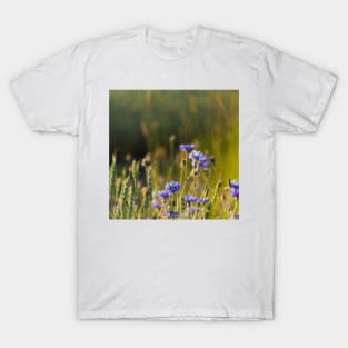 Cornflowers and common wheat T-Shirt